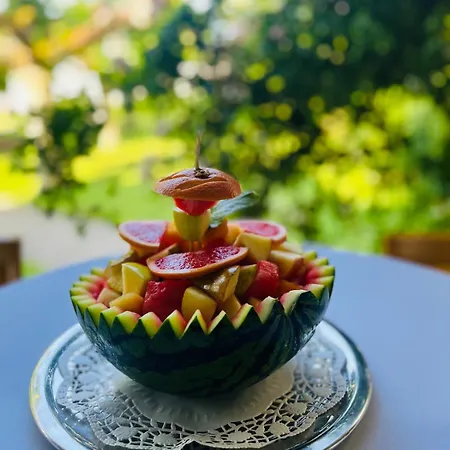 拉龙格来酒店 酒店 莫尔日